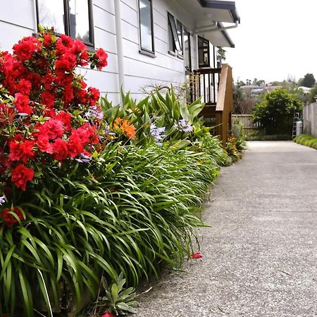 Hidden Gem For Business Traveller'S Leilighet Tauranga Eksteriør bilde