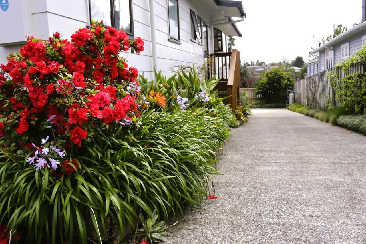 Hidden Gem For Business Traveller'S Leilighet Tauranga Eksteriør bilde